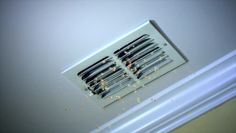 Best Emergency Air Duct Cleaning  in Poydras, LA