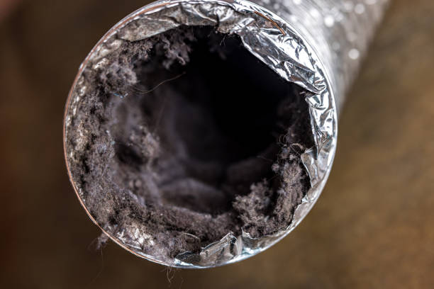Best Air Duct Cleaning Near Me  in Poydras, LA